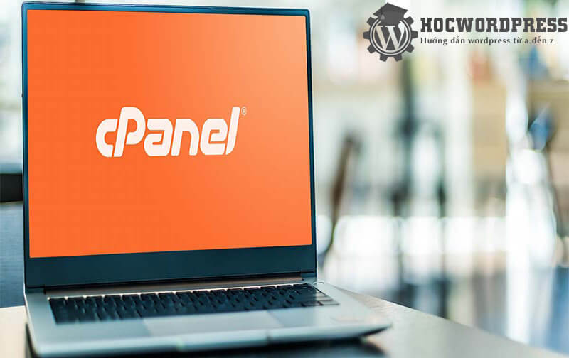 Hướng dẫn 2 cách trỏ domain về host cPanel đơn giản nhất