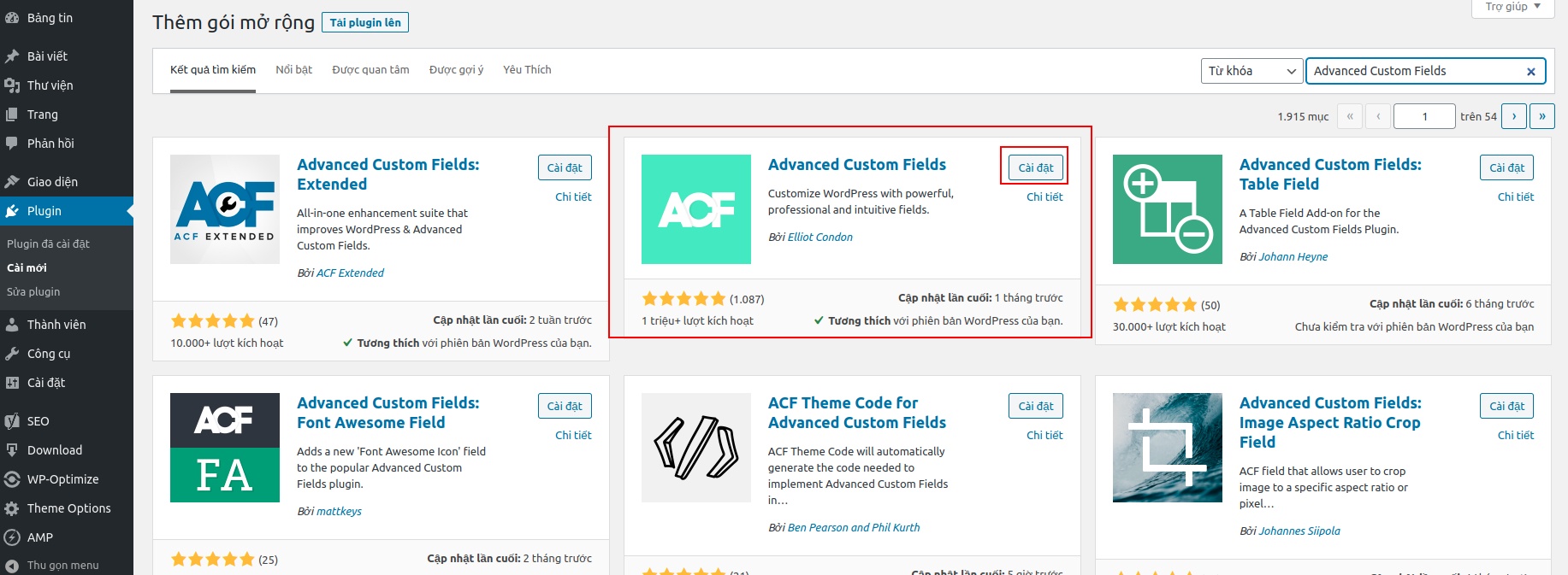 Custom field in WordPress using ACF