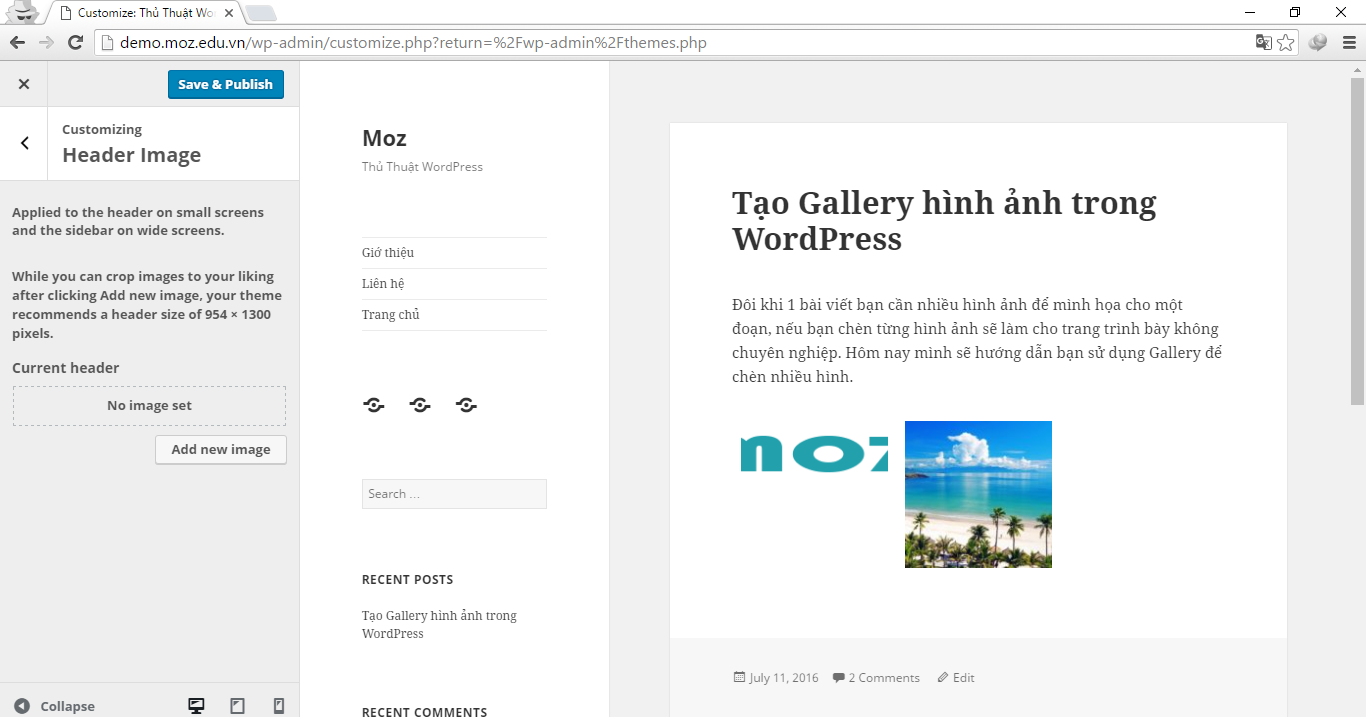 How-to-Use-Customize-in-WordPress-5