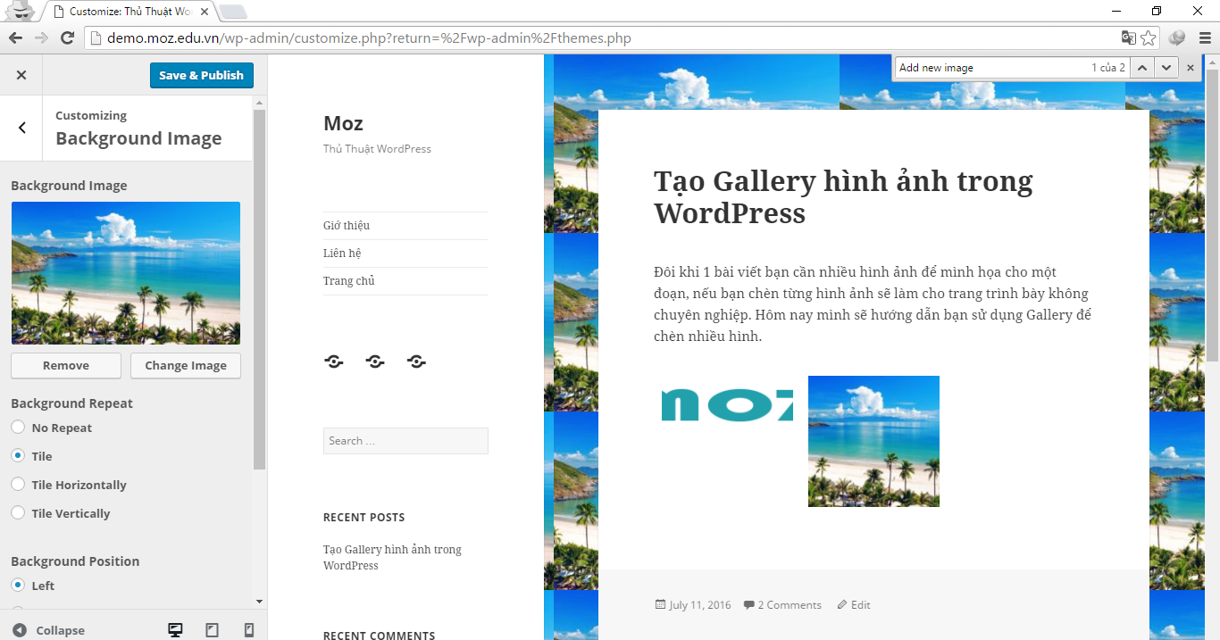 How-to-Use-Customize-in-WordPress-6