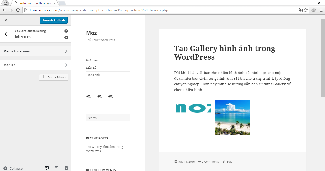 How-to-Use-Customize-in-WordPress-7