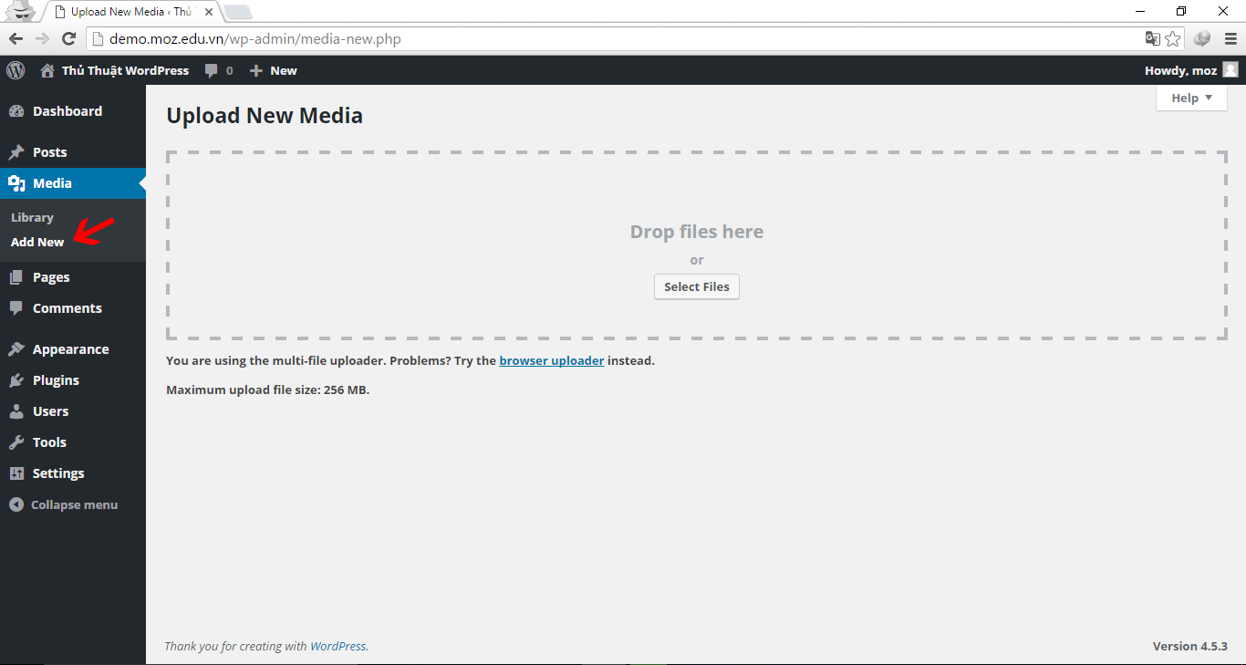 Managing Media in WordPress