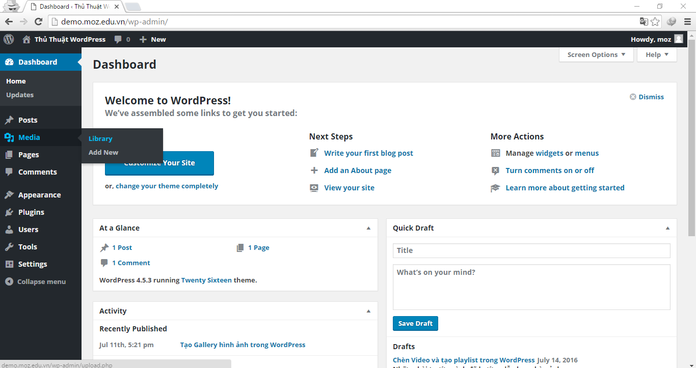 Managing Media in WordPress