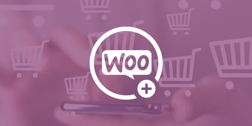 Thêm ký tự vào trước và sau giá sản phẩm trong WooCommerce