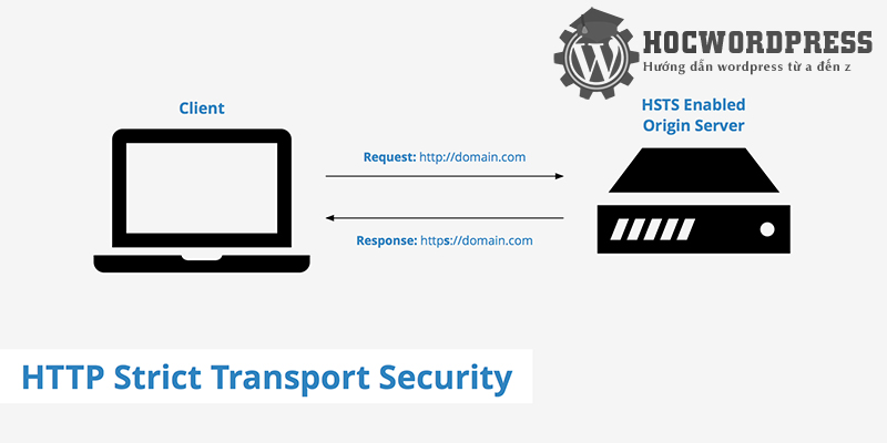 hsts là gì